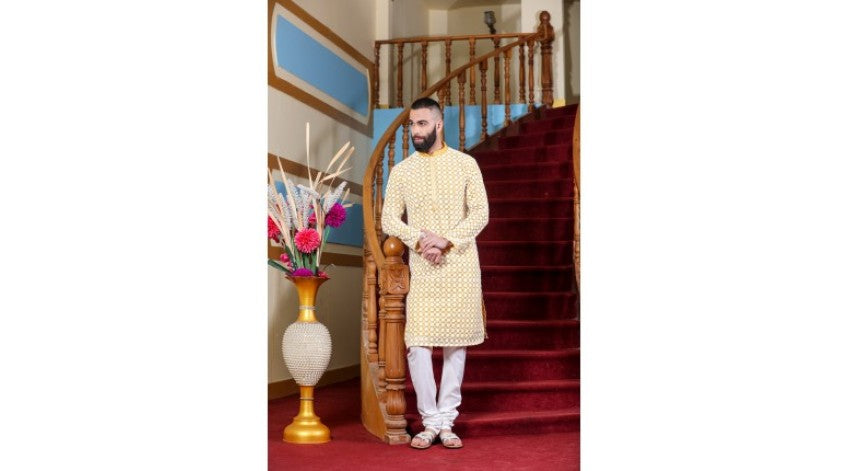 The Magnificent Chikan Kurta