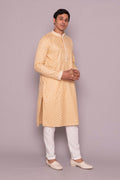 MLS CHIKANKARI KURTA PAJAMA